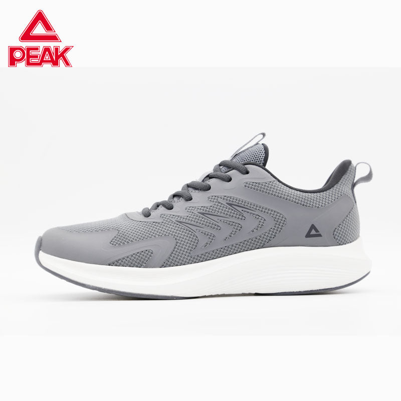 PEAK TAICHI Running Shoes Men E49259E