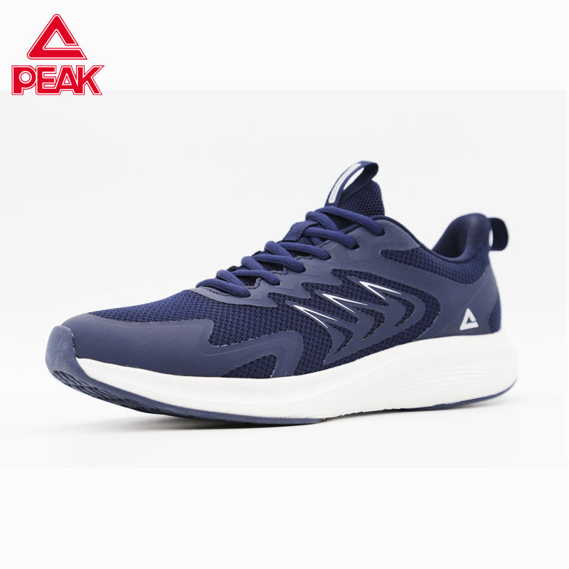 PEAK TAICHI Running Shoes Men E49259E