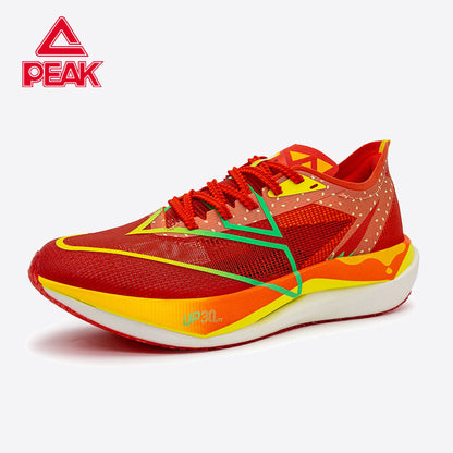 PEAK TAICHI Running Shoes  Breathable Men Jogging Shoe ET51797H