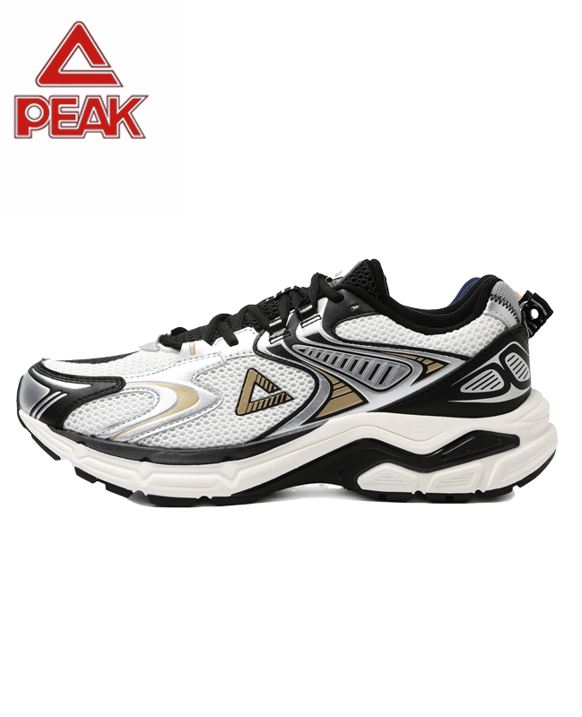 PEAK TAICHI Marathon Running Shoes Men DH610017