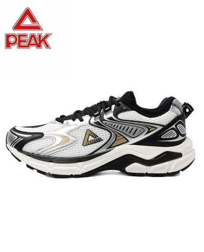 PEAK TAICHI Marathon Running Shoes Men DH610017