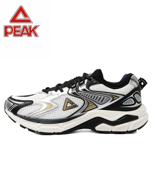 PEAK TAICHI Marathon Running Shoes Men DH610017