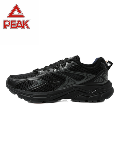 PEAK TAICHI Marathon Running Shoes Men DH610017