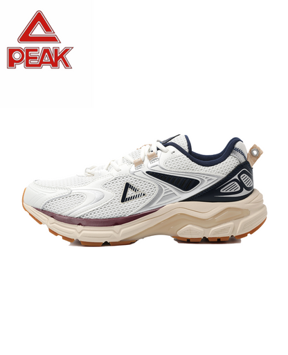 PEAK TAICHI Marathon Running Shoes Men DH610017
