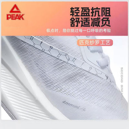 PEAK TAICHI Marathon Running Shoes Men ET42977H