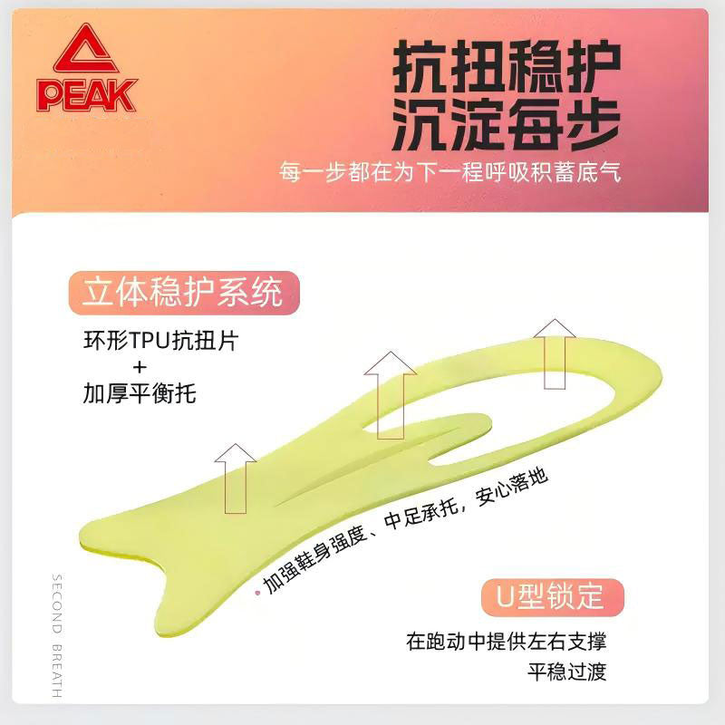 PEAK TAICHI Marathon Running Shoes Men ET42977H