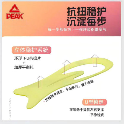 PEAK TAICHI Marathon Running Shoes Men ET42977H