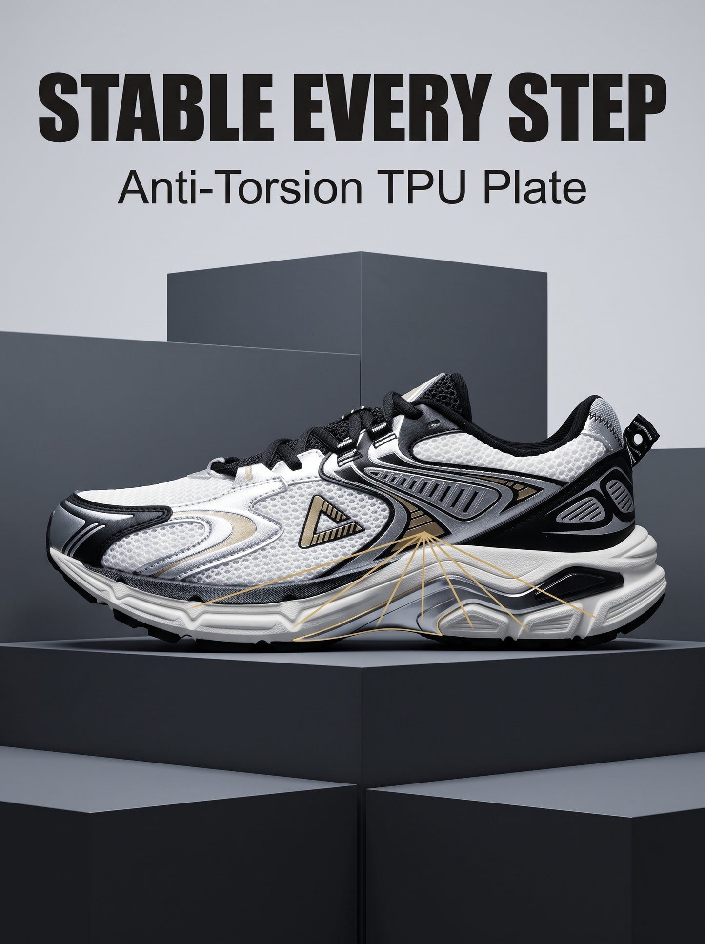 PEAK TAICHI Marathon Running Shoes Men DH610017